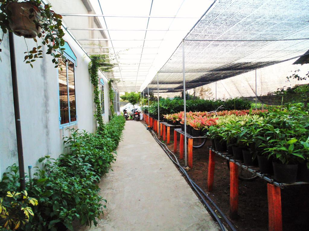 Flower & Frog Homestay Sa Dec Exterior foto